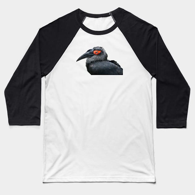 Bird 1 / Swiss Artwork Photography Baseball T-Shirt by RaphaelWolf